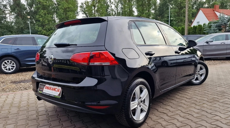 Volkswagen Golf cena 39800 przebieg: 135000, rok produkcji 2013 z Suchań małe 667